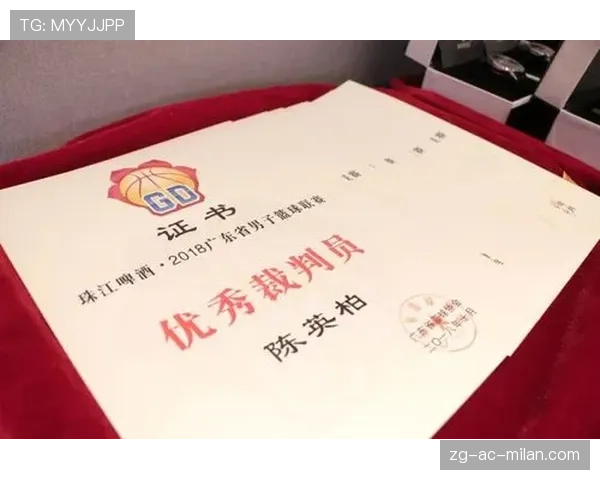 国际篮球联赛裁判员职业保障基金筹建工作推进，国际篮球裁判证