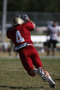 米兰体育APP下载-中超球队传球链路密集度评分系统